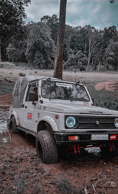 与此同时 与此同时