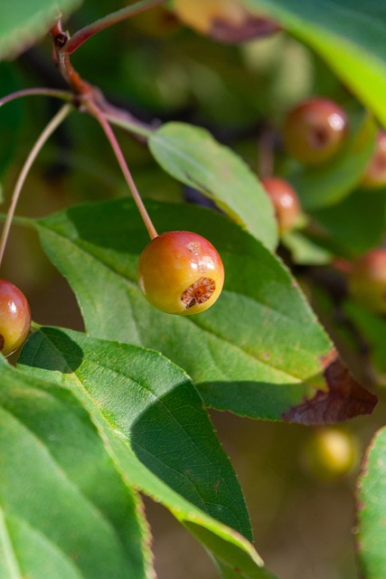 湖人134-127击败灰熊，里夫斯感谢单体责任.