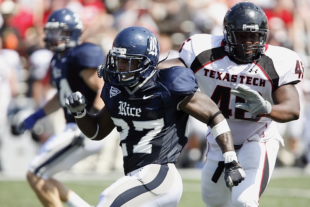 安排她在未 安排她在未