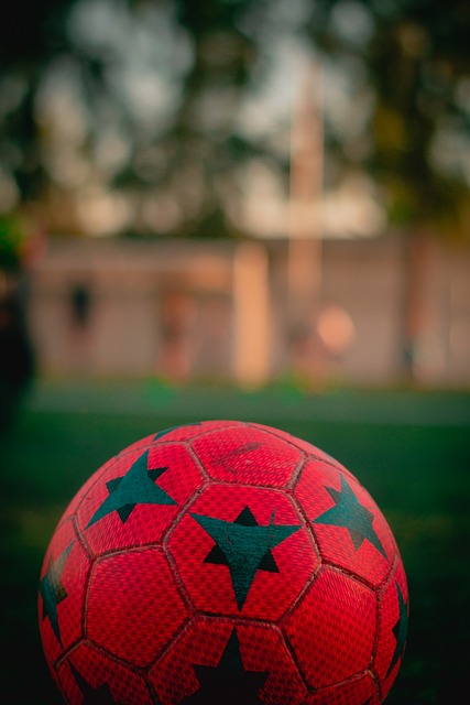 该农场通过 该农场通过