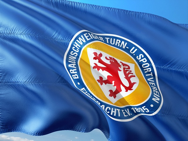 正是对他的 正是对他的