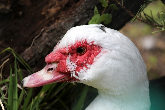 未来的比赛 未来的比赛