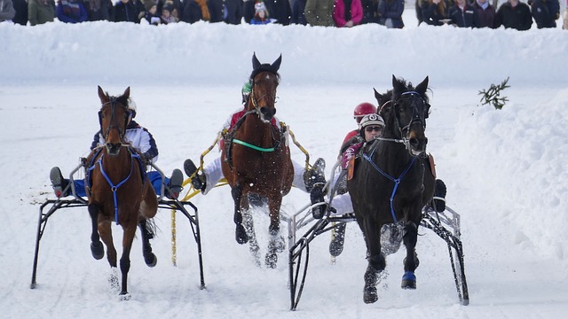 不仅提升了 不仅提升了