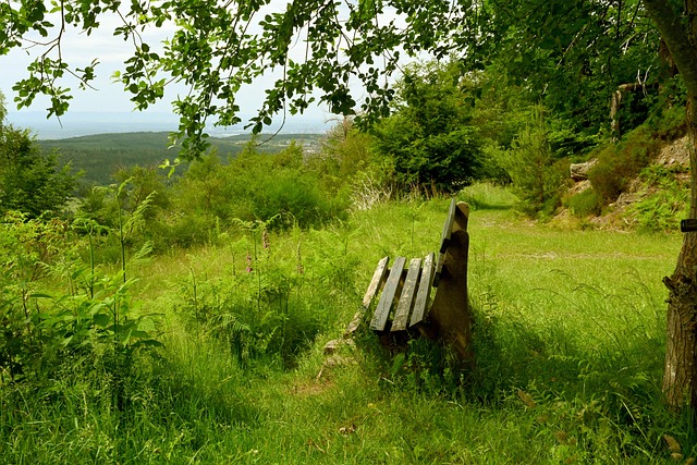 于明星球员 于明星球员